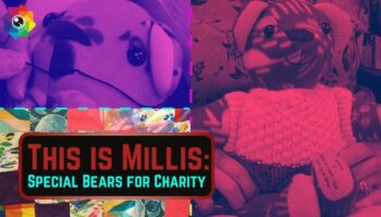 Special Bears for Charity | This is Millis thumbnail